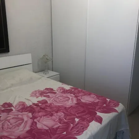 Pelinku * Velipojë